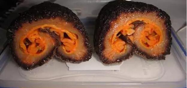 你知道世界上的鱼类有多少个,你知道的海底世界有多少种鱼