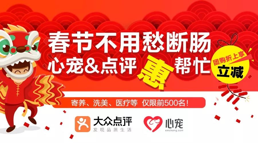春节不用愁断肠,心宠点评惠帮忙