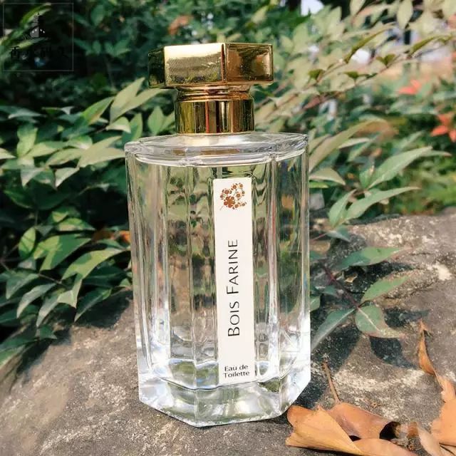 小七的生活记完整版,小七的生活日记618