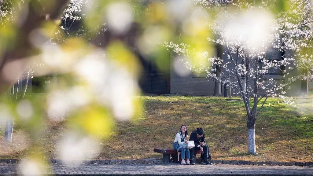 好天气不出门晒太阳,大好的天气不出门