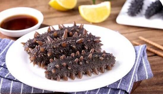 带您了解世界海参,你知道全球有多少种鲨鱼吗