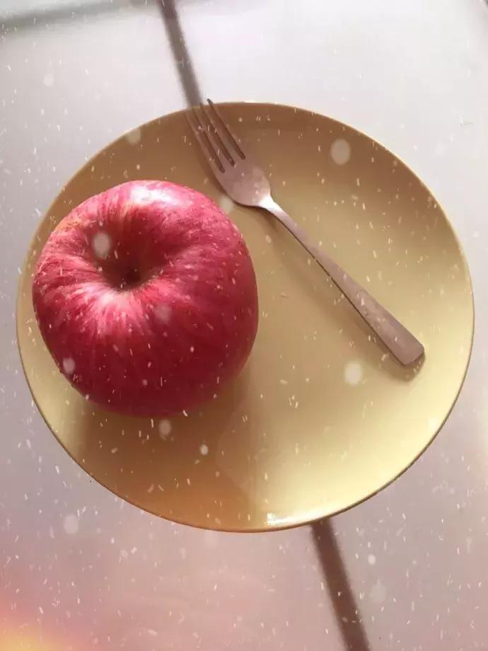 如果你们愿意这样去相爱，怎怕没结局？（我与木木的日常17）