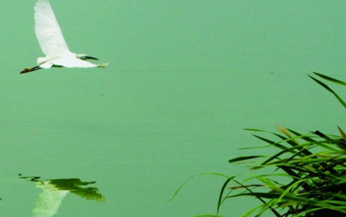 与上司说话不紧张的技巧,和领导说话紧张怎么克服