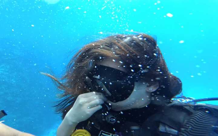 汤加和斐济哪个国家大,斐济国家主产什么