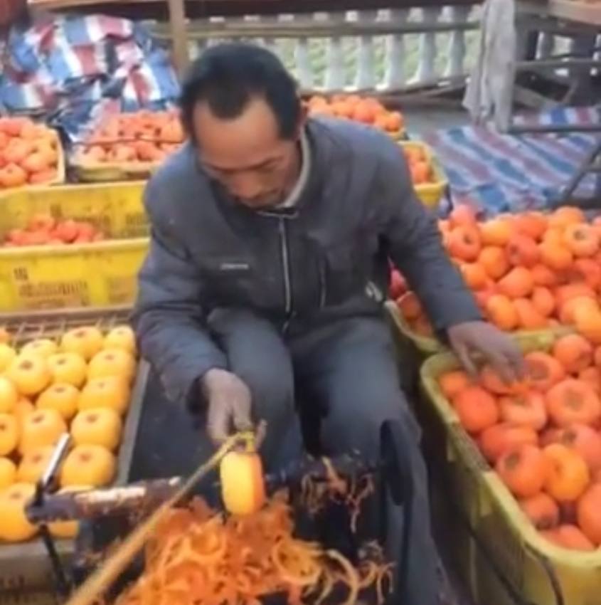 种植西红柿的成本有哪些,无土栽培西红柿一年能挣多少钱