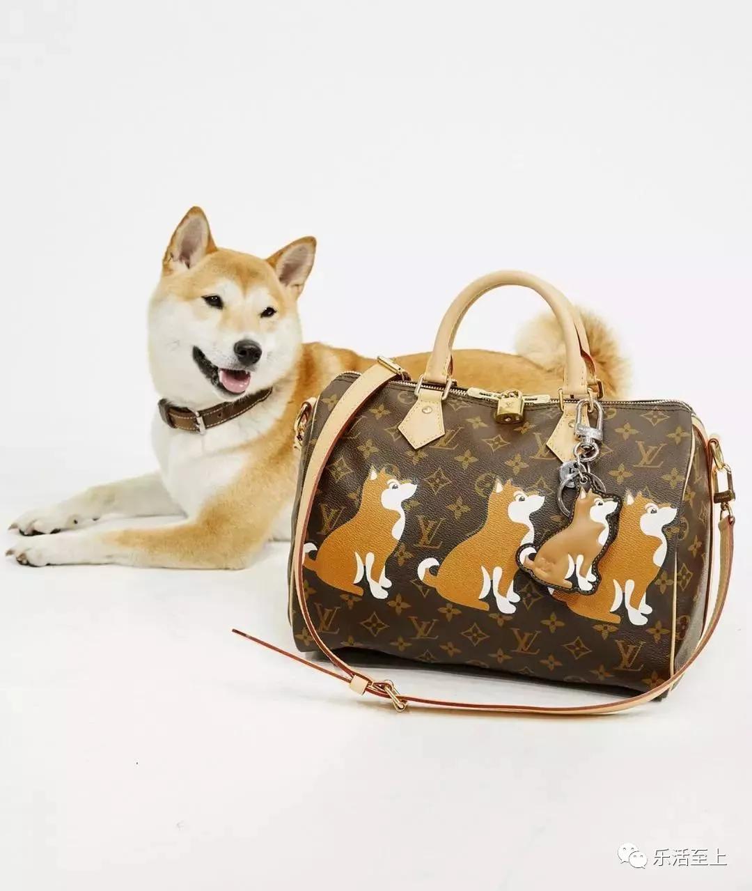 lv新年限定包包,gucci新春限定系列