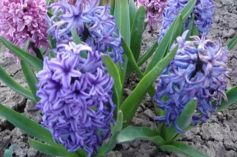 外贸8大技巧,外贸常识500条