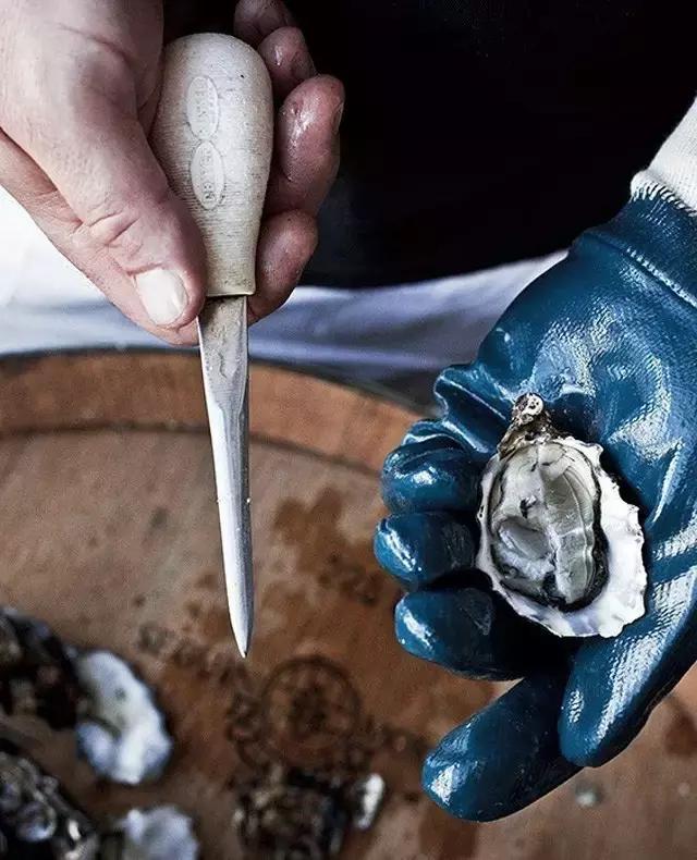 西雅图海边生蚝,全球最好吃的生蚝牡蛎