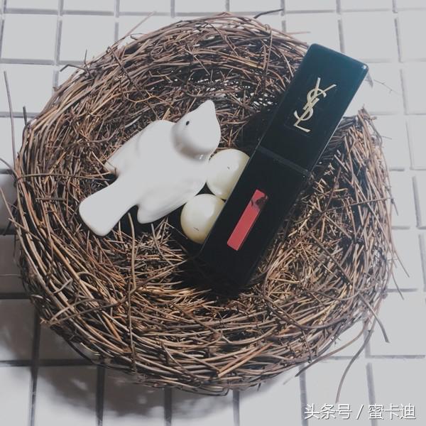 收集了很多好久才收集到的虫子,ysl推荐最值得入手款