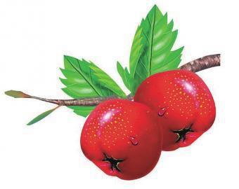 降胆固醇的营养素有哪些,有降胆固醇作用的营养素有