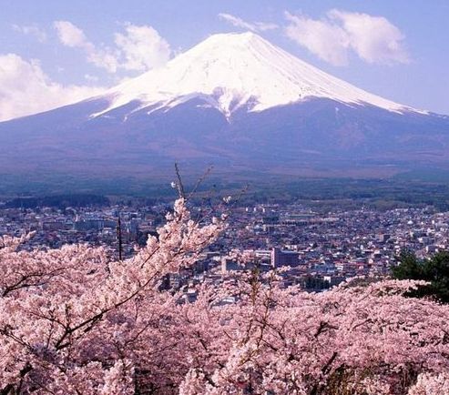 那些被支付寶用掉の钱，“和春祭”帮你补回来