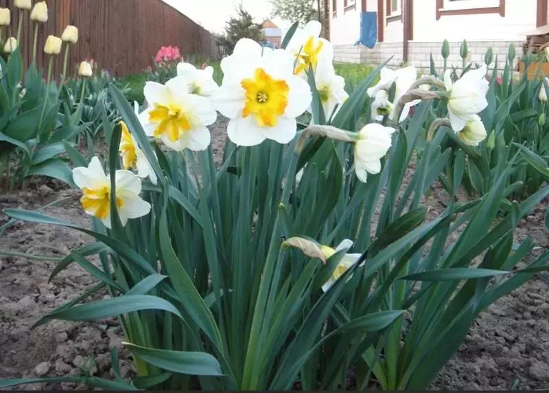 外贸8大技巧,外贸常识500条