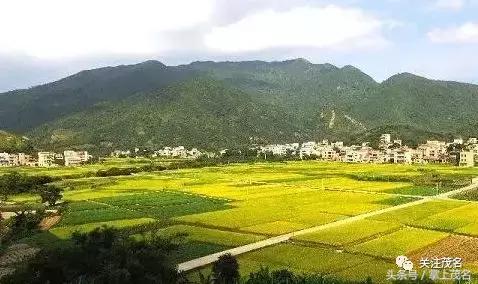 高州各镇历史来历,高州市有多少个镇街