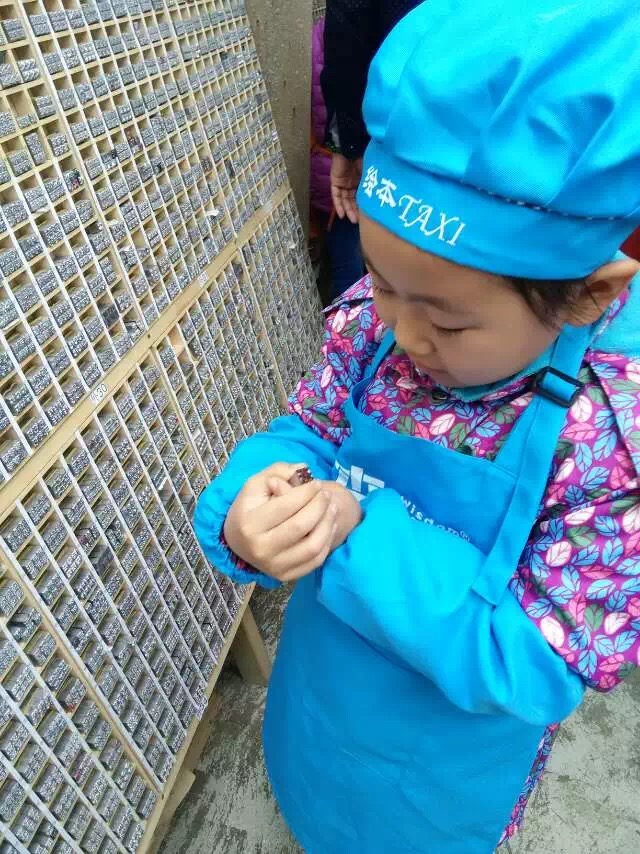 教孩子写数字的游戏,教孩子写数字游戏