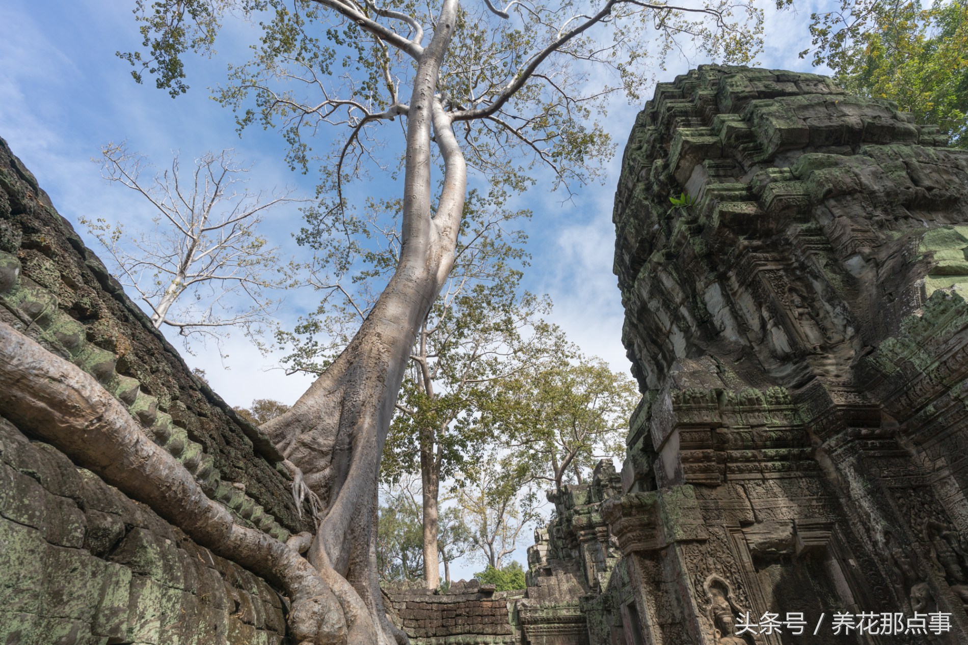 去暹粒旅游需要注意什么,去暹粒旅行自由行攻略