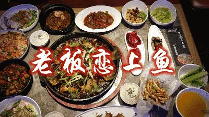 弘阳广场济南老板恋上鱼,济南老板恋上鱼价格