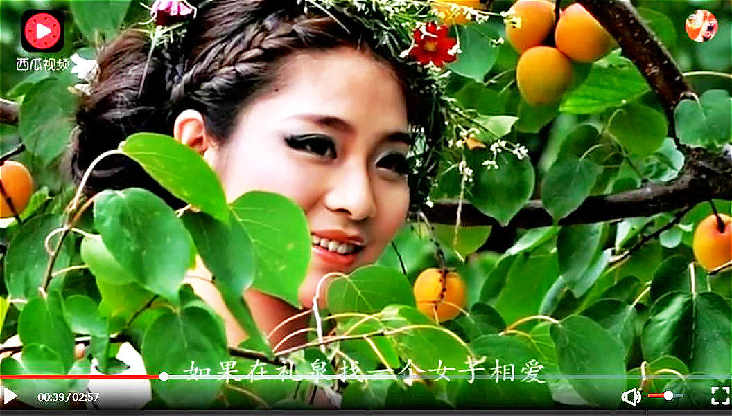 陕西礼泉县女人,陕西礼泉女人