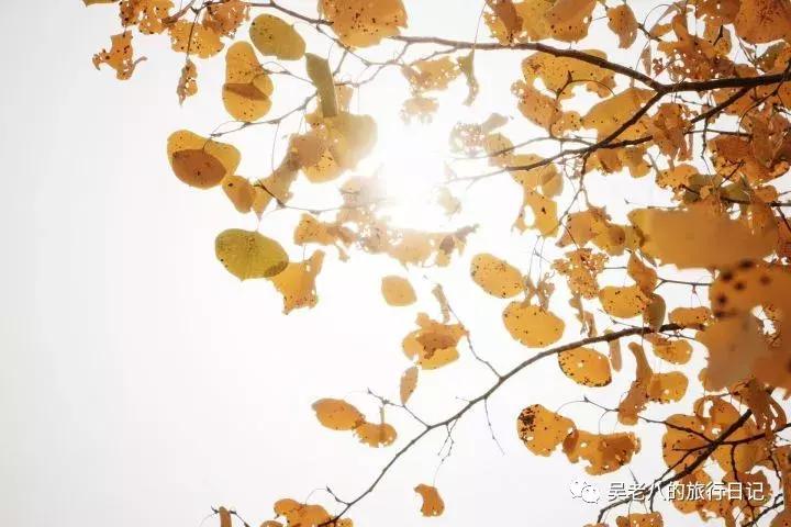 去大西北旅行的感悟,去西北旅行的感悟