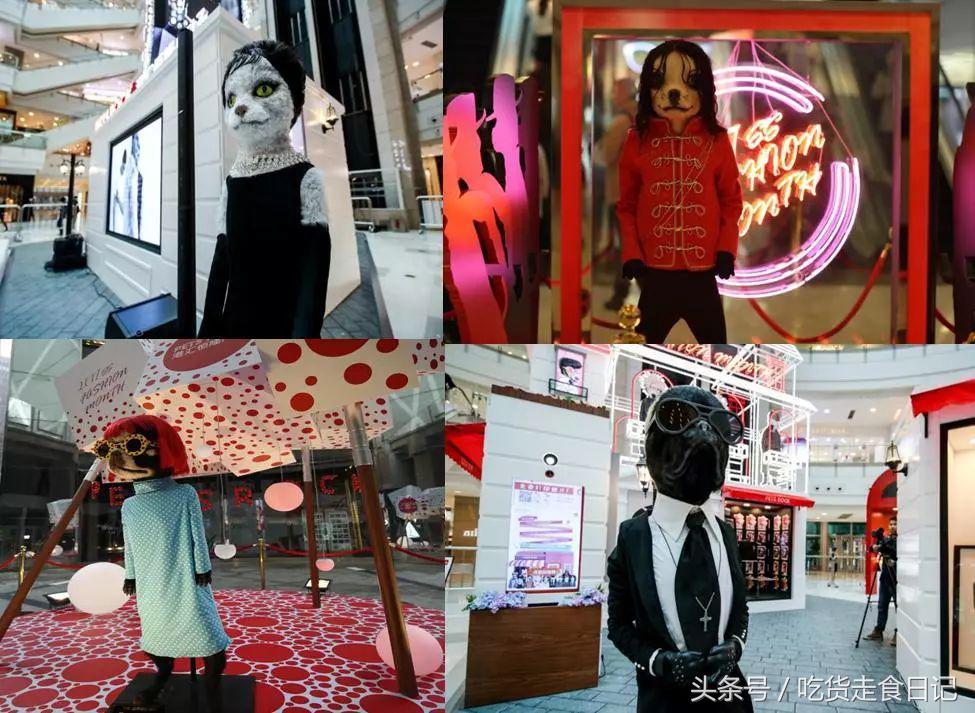 PETS ROCK x STARBUCKS 联名限量!又一波新的汪星人提前发售!