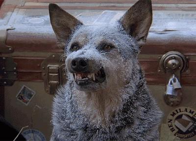 踢不烂大黄靴无鞋带,踢不烂大黄鞋清洁套装