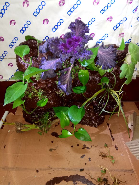 缸小养龟怎么造景,养龟小缸造景图片