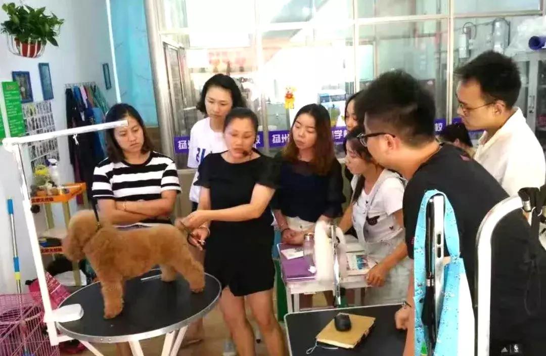 老徐会客厅：于祥：志存高远未来可期扬州企业家公益联盟发起人