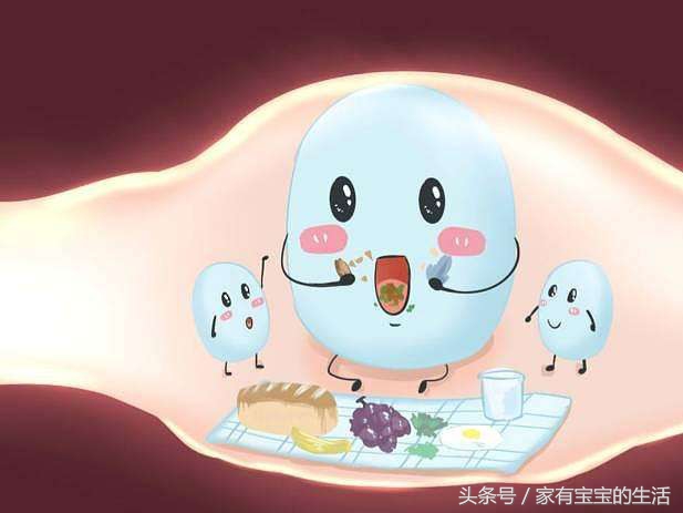 宝宝天天吃益生菌,宝宝天天喝益生元的益生菌好吗