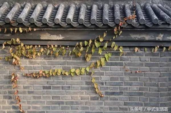 瞥见中式建筑美学,中式建筑哲学