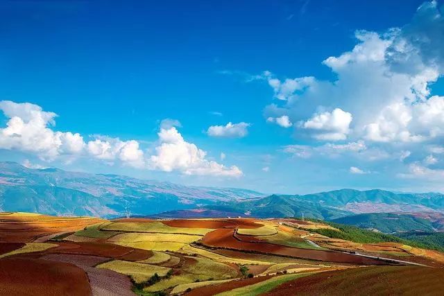 春城秀红嘴鸥图片,春城冬日美景