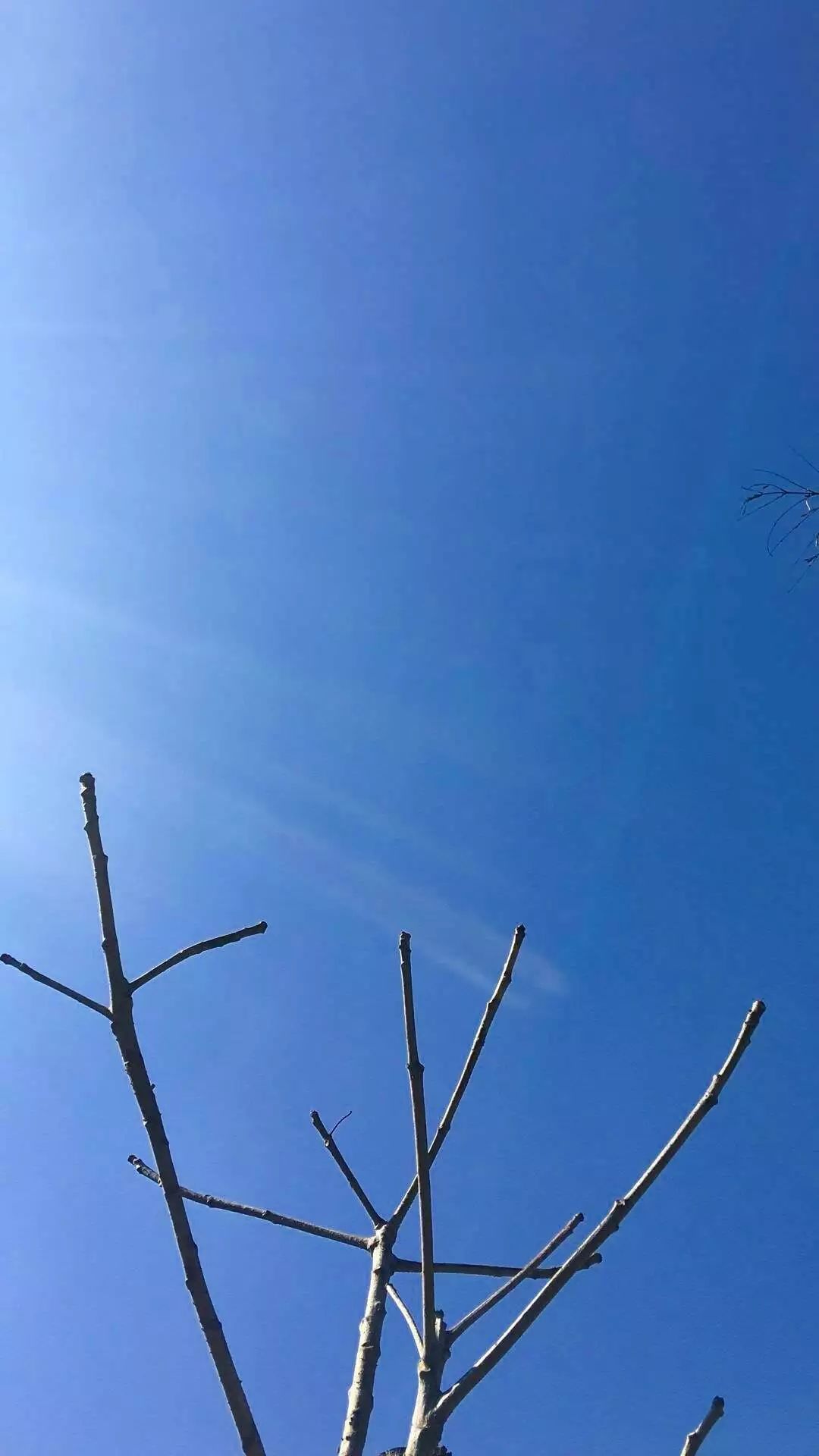 选一款吧！从此攀大就掌握在你手里了！