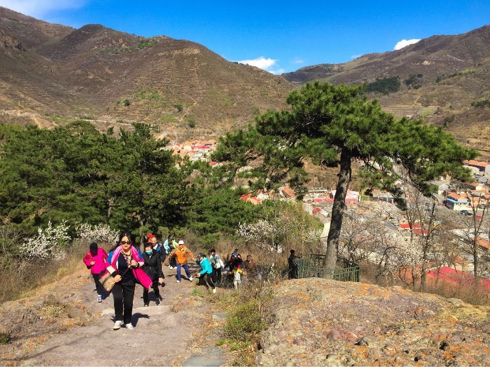 北京绿城高端楼盘,绿城2024最新楼盘