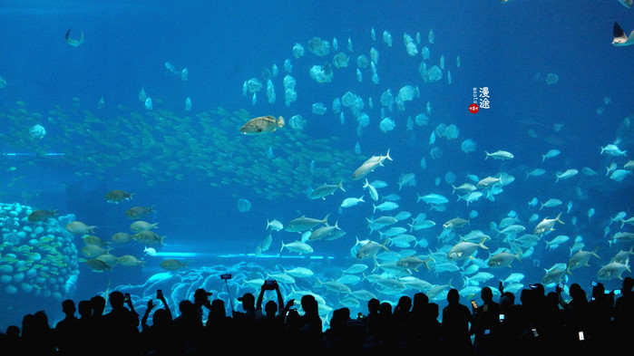 新年广州珠海长隆游记,广州珠海长隆澳门自由行攻略