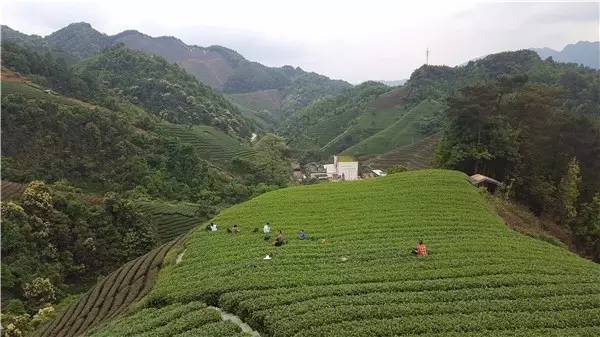 不吹牛了,不吹牛你会怎么样