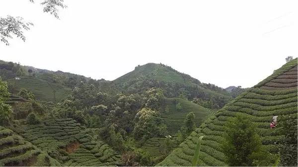 不吹牛了,不吹牛你会怎么样