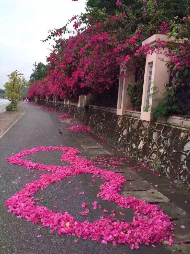 昨夜的狂风完整版,昨夜的狂风原版