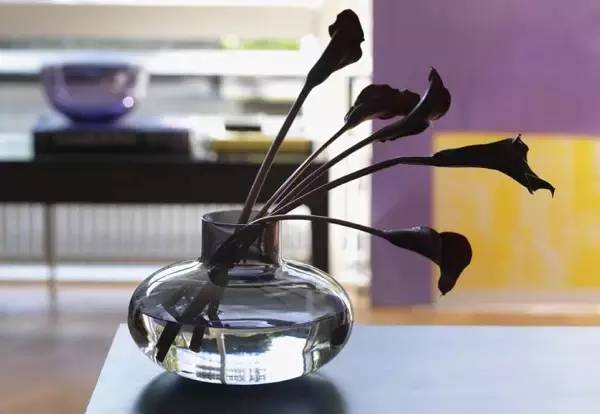 洗澡无聊可以干什么,沐浴露除了洗澡还能干啥