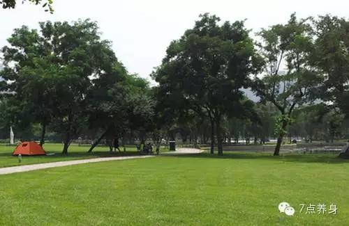 肝堵肺堵脾怎么调理,心怕累