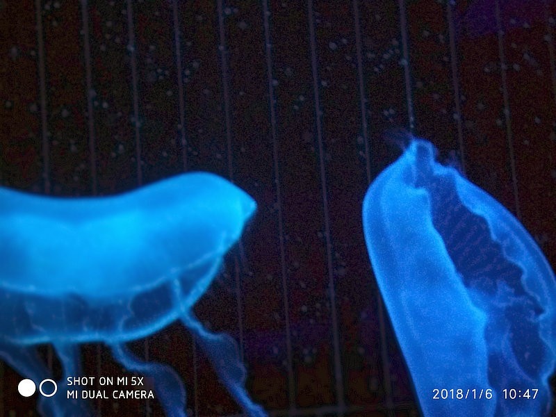 自驾游环游中国路线安徽出发,开封至安徽黄山自驾游攻略