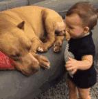 一到冬天最恼火的“齁齁”模式又开启了,医生告诉你该如何按下STOP键!