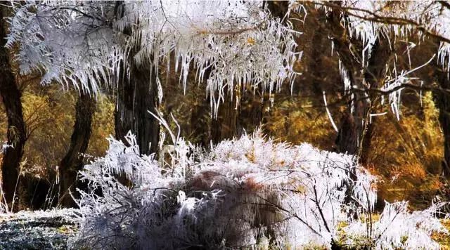 阿拉善今年活动,阿拉善户外活动