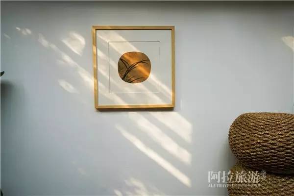 我也想有间这样的茶室，就在城中央，你却找不到|春日事5