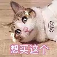 1000元左右的轻奢包包,1000左右轻奢包包推荐