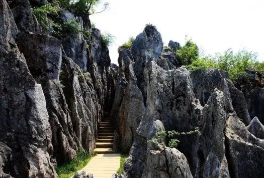 华蓥山风景区下雪了吗,华蓥山2022年2月1号下雪了吗