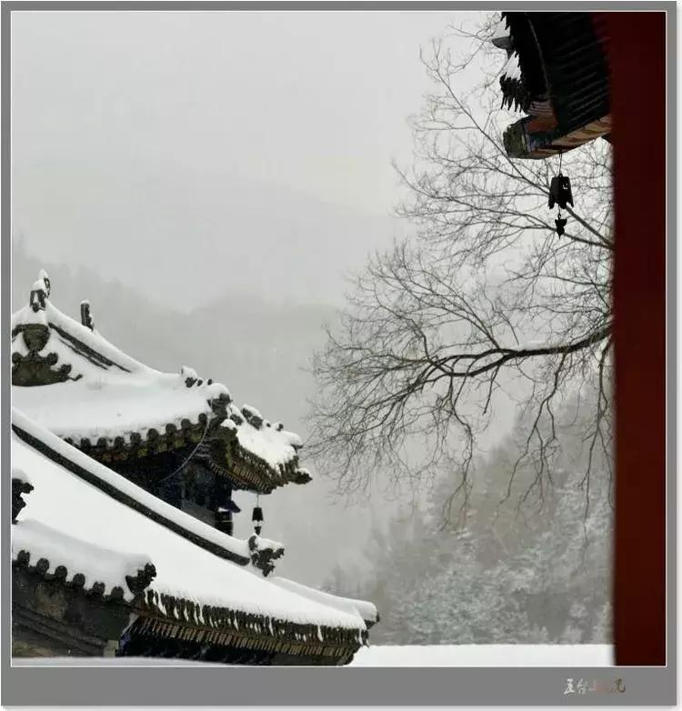 春节旅游一定要去五台山吗,今年冬天一定要去一趟五台山
