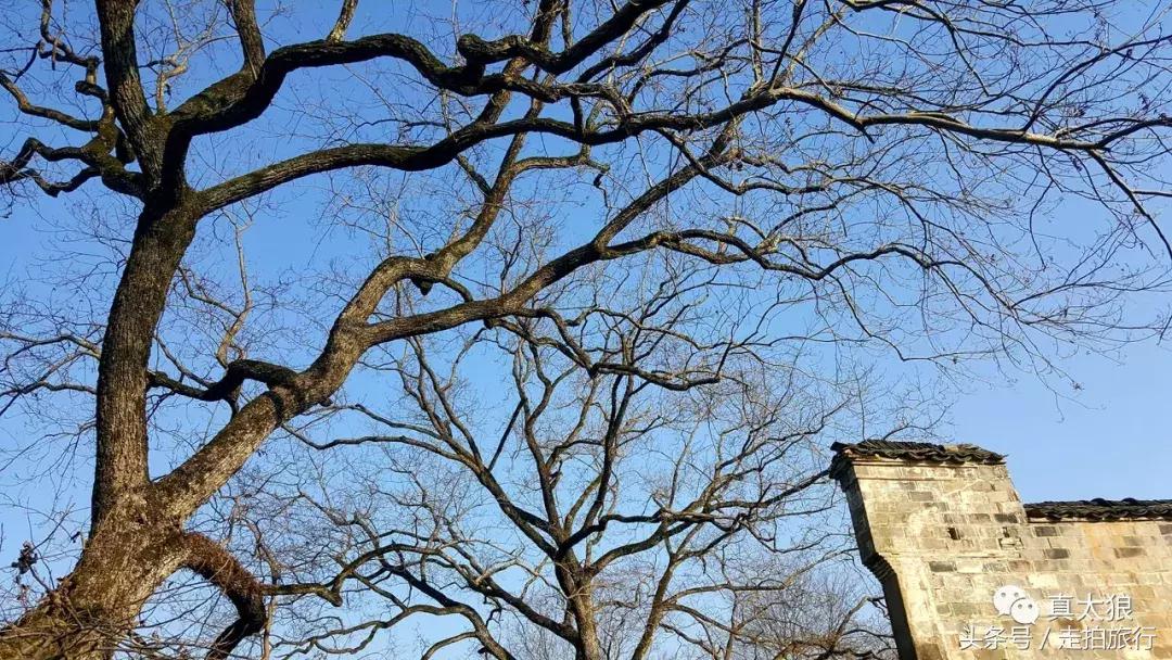 无门票丨这些不该被遗忘的泾县古村，宣纸村与世外桃源......