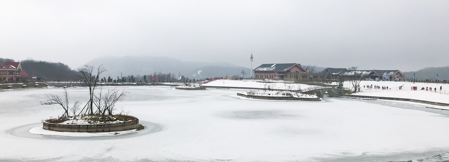 成都娱乐新鲜事,成都热门新鲜事