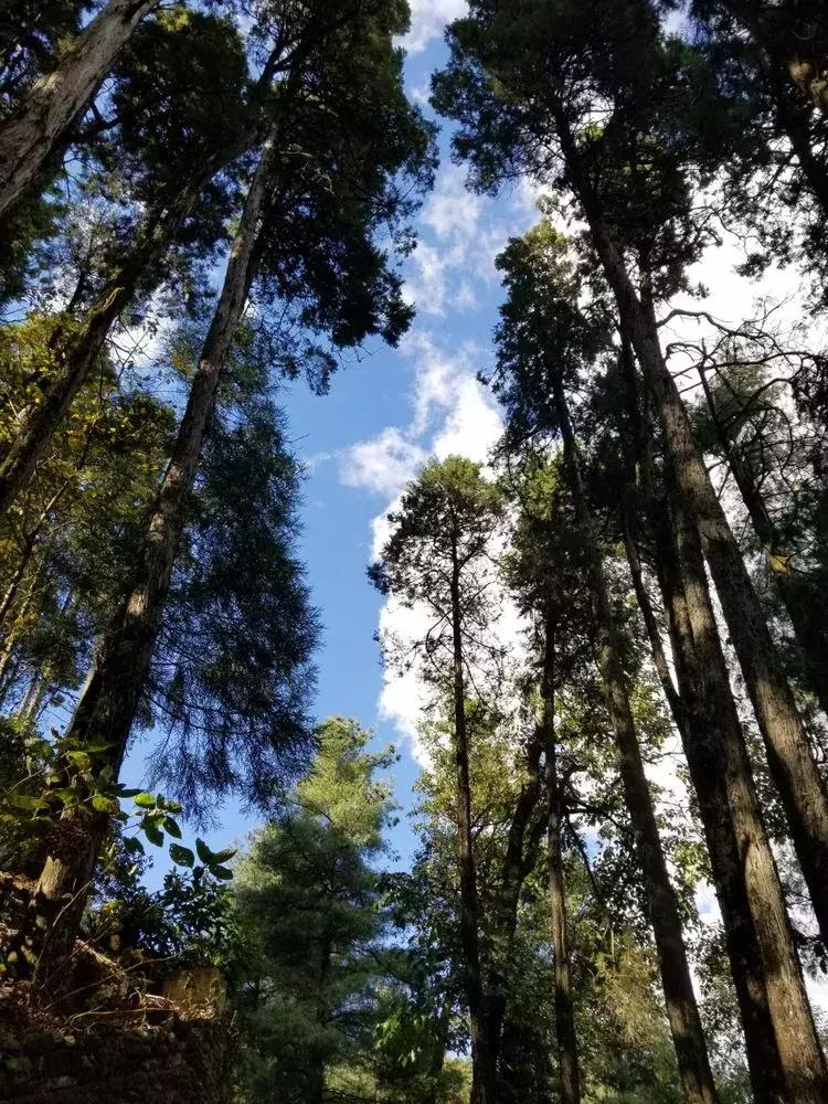 与大理古城最后一晚的邂逅,与大理的第五次相遇