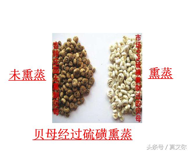 硫磺熏艾叶的真相！艾艾贴、艾条、艾叶真的有被硫磺熏的情况吗？