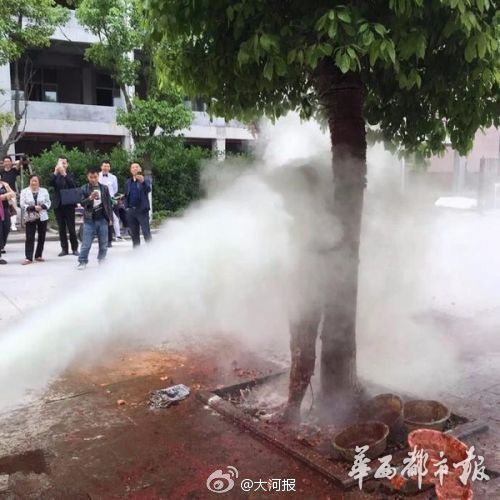 新闻龙门阵｜遭泼狗血！这个新郎太惨了，我宁愿单身到老