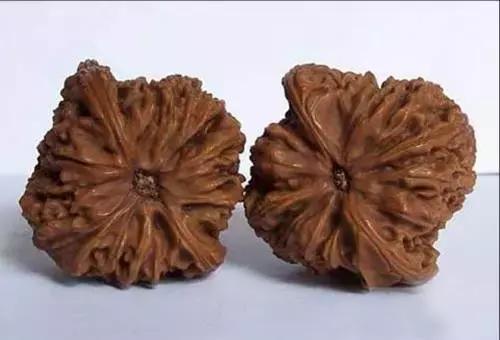 文玩核桃品种图鉴大全前十名,文玩核桃手串品种大全